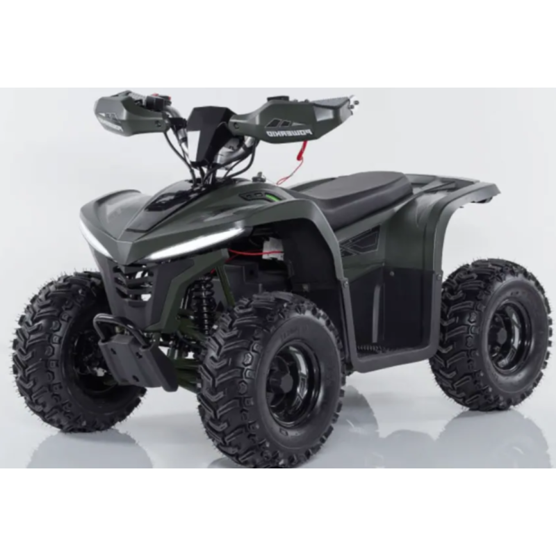 Квадроцикл Comman Balu TEA750 750W