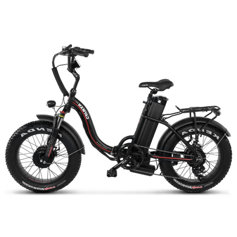 Електрофетбайк Cayman TRIAL DUAL 1500W 48V 17Ah 20"