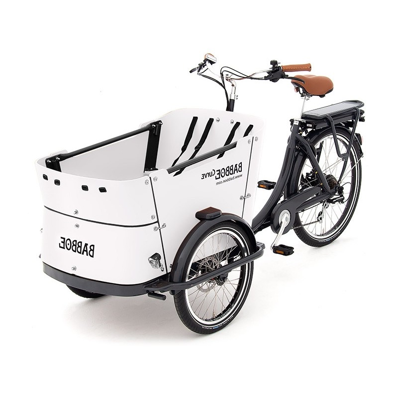 Електровелосипед триколісний Babboe Curve-E Disc 250W 36V 12.5Ah 26" (2024)