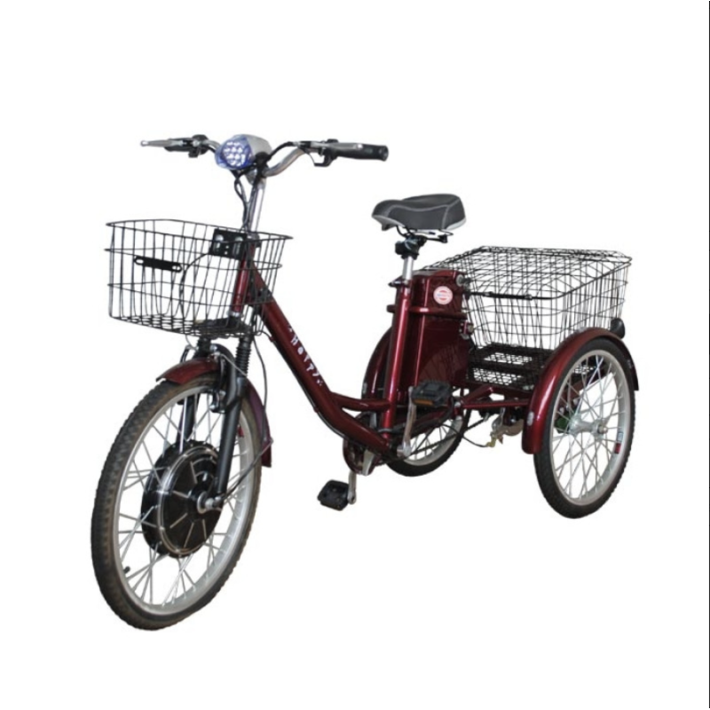 Електровелосипед триколісний SKYMOTO BIG HAPPY 350W 48V 10Ah 22"/20"